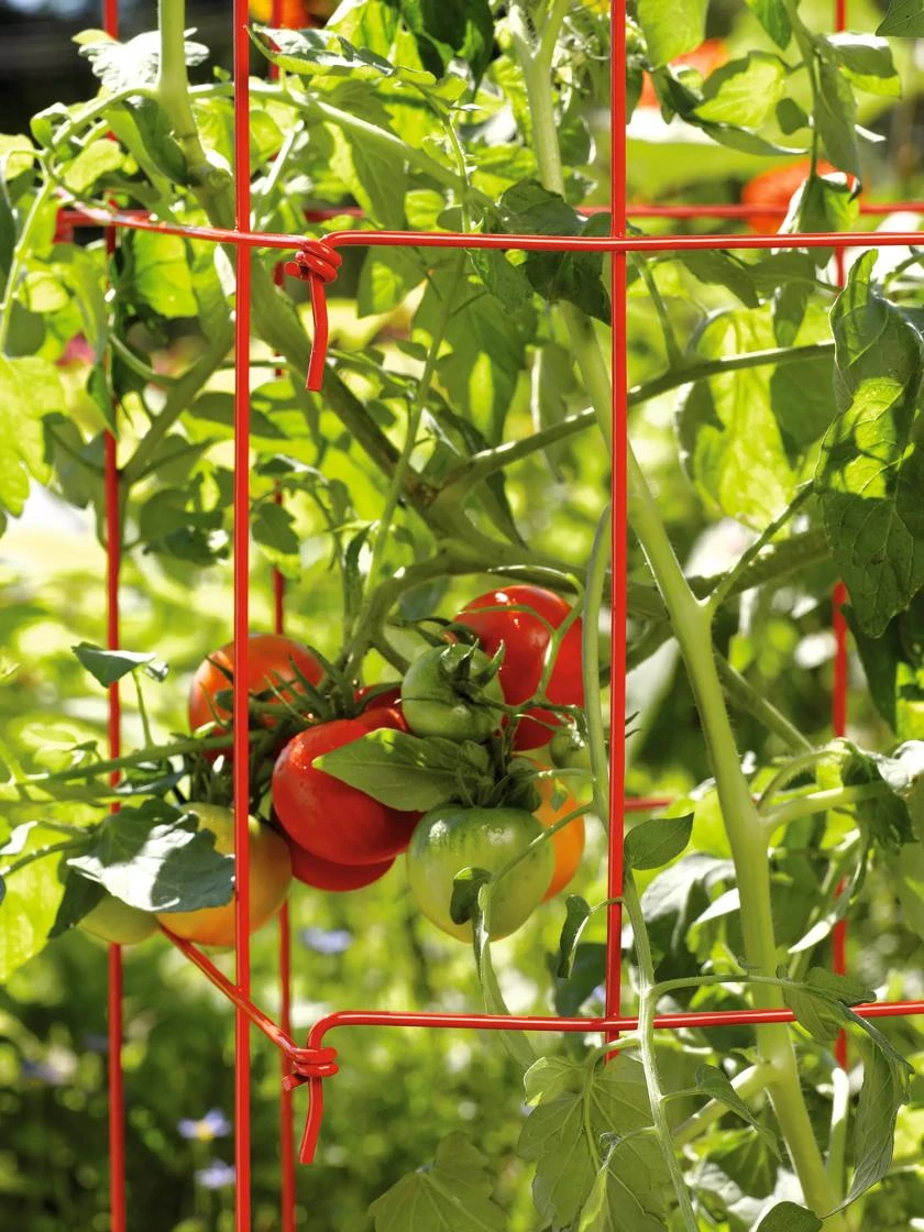 Tomato Towers, Set Of 2 - Image 2
