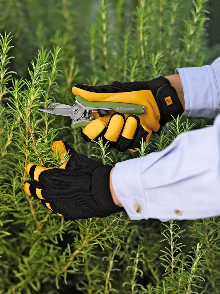 Women's Gold Leaf Soft Touchâ„¢ Gloves