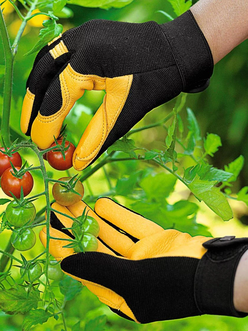 Women's Gold Leaf Soft Touchâ„¢ Gloves - Image 2