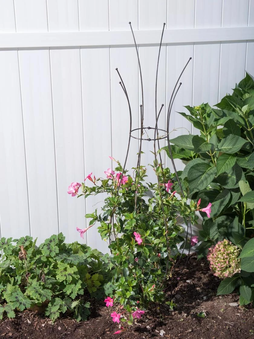 Jardin Pot Trellis - Image 2