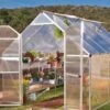 Canopia® By Palram Essence™ Greenhouse, 8' X 12'