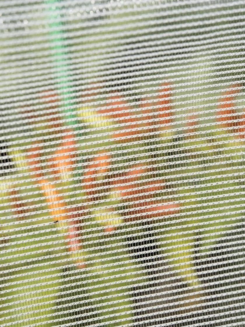 Bug Out Garden Insect Screen, 13' X 20' - Image 2