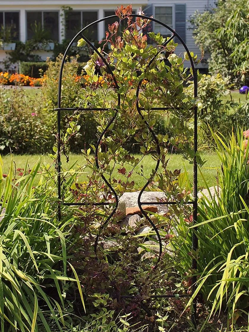 Achla Designs Orangery Trellis