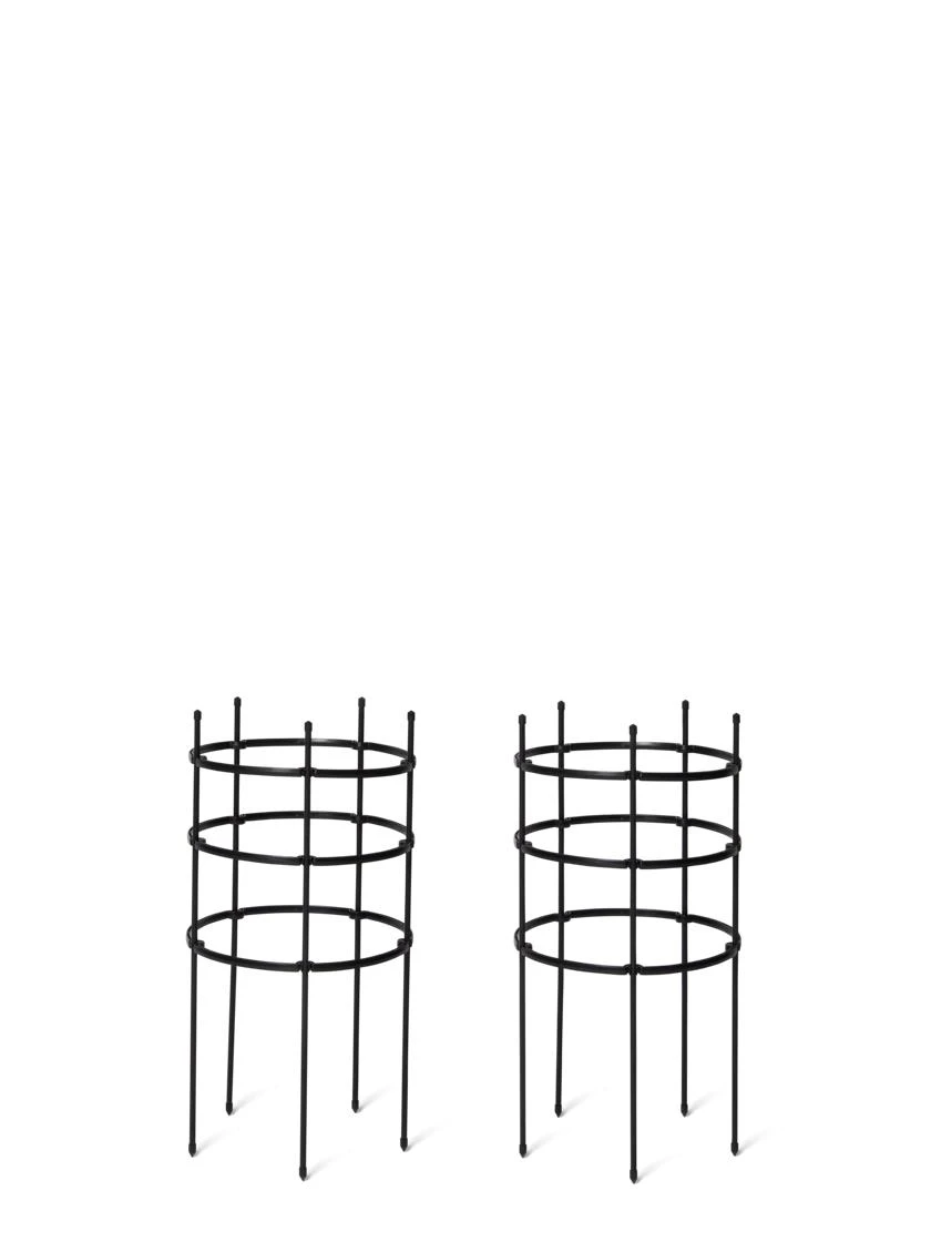 Titan Peony Supports, Large, Set Of 2 - Image 2