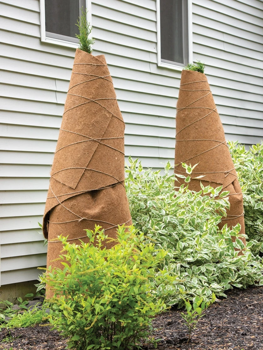 Coir Shrub Wraps 8' X 3', Set Of 2