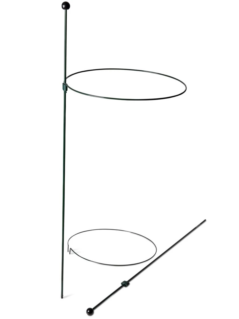 Peacock Classic Plant Support Rings 15", Set Of 2 - Image 4